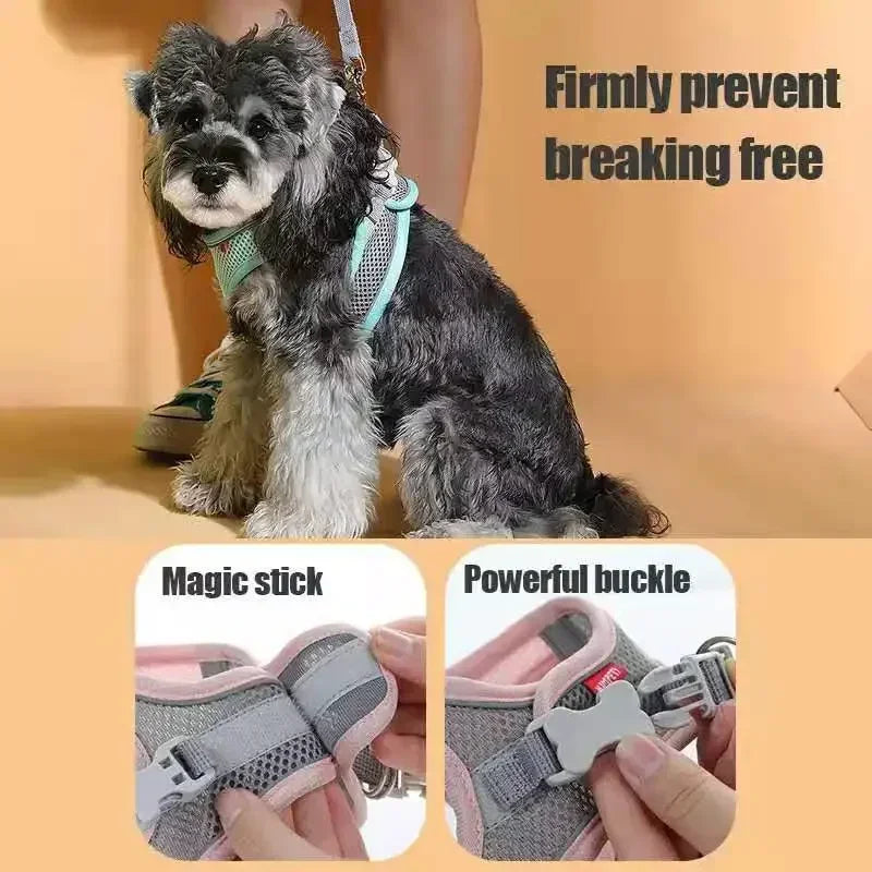 Cats Dog Accessories Small Dog Collar Safety - ProPawPet.com