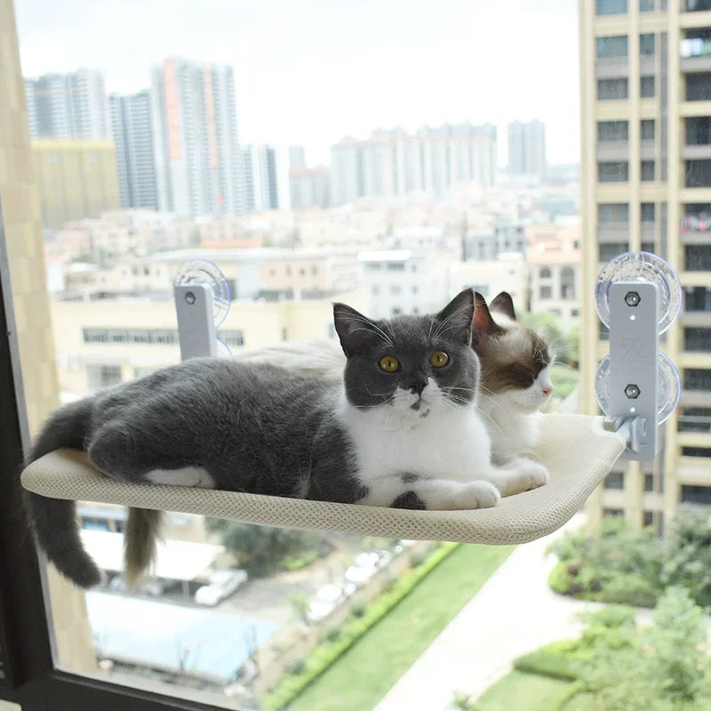 Strong Suction Cup Cat Window Hammock - ProPawPet.com