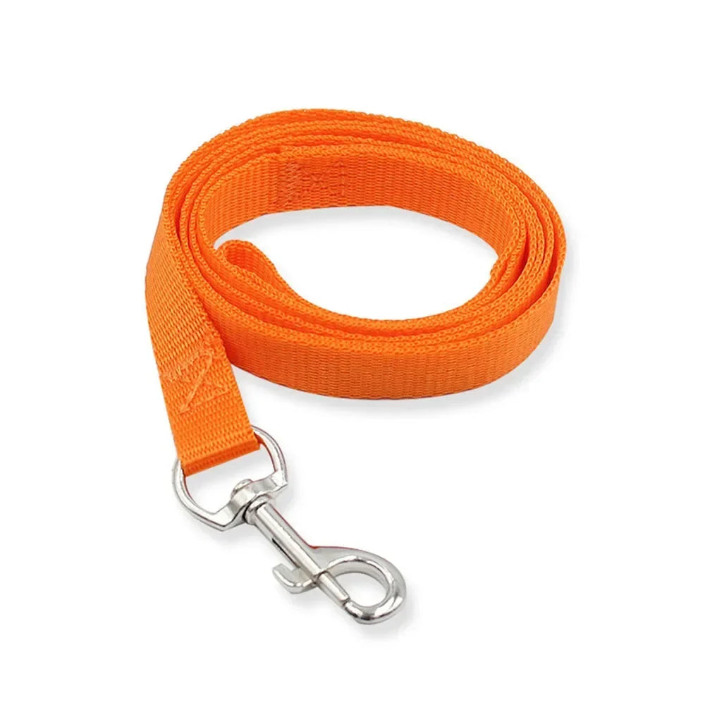 Nylon Dog Leash for Small Dogs and Cats - ProPawPet.com