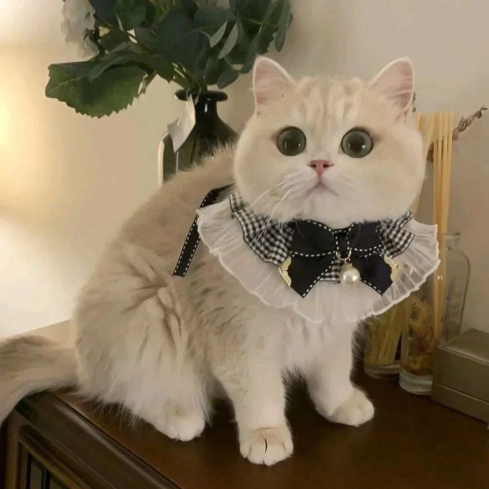 Cute Dog Collar Lace Bowknot Pearl Cat - ProPawPet.com