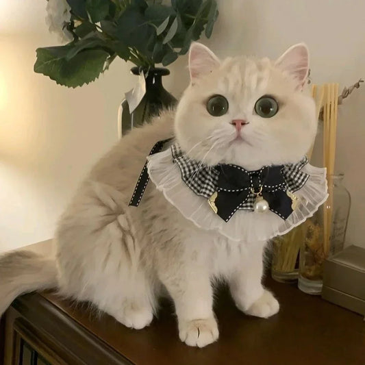 Cute Dog Collar Lace Bowknot Pearl Cat - ProPawPet.com