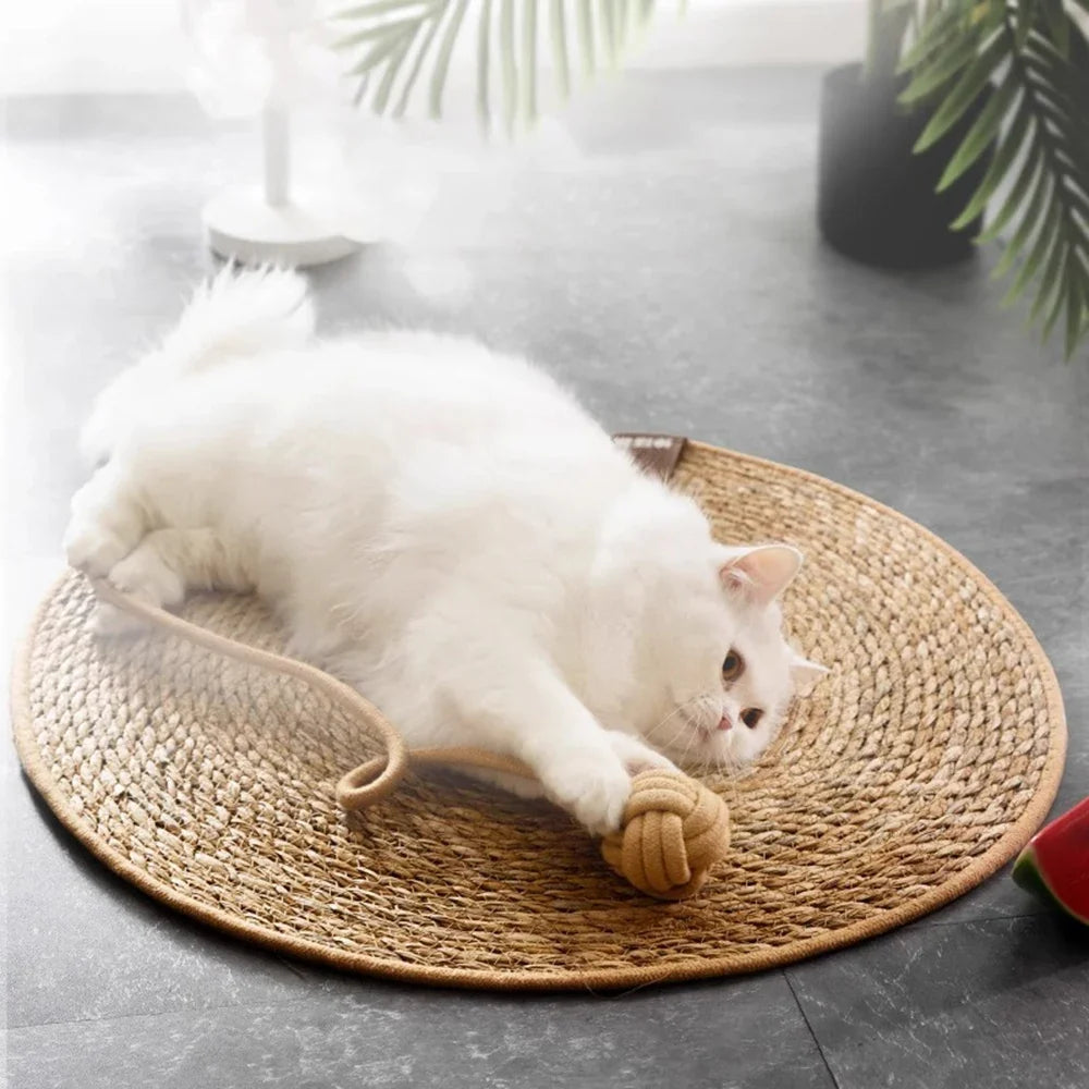 Cat Scratcher Rattan Mat Board Cat Scratch - ProPawPet.com