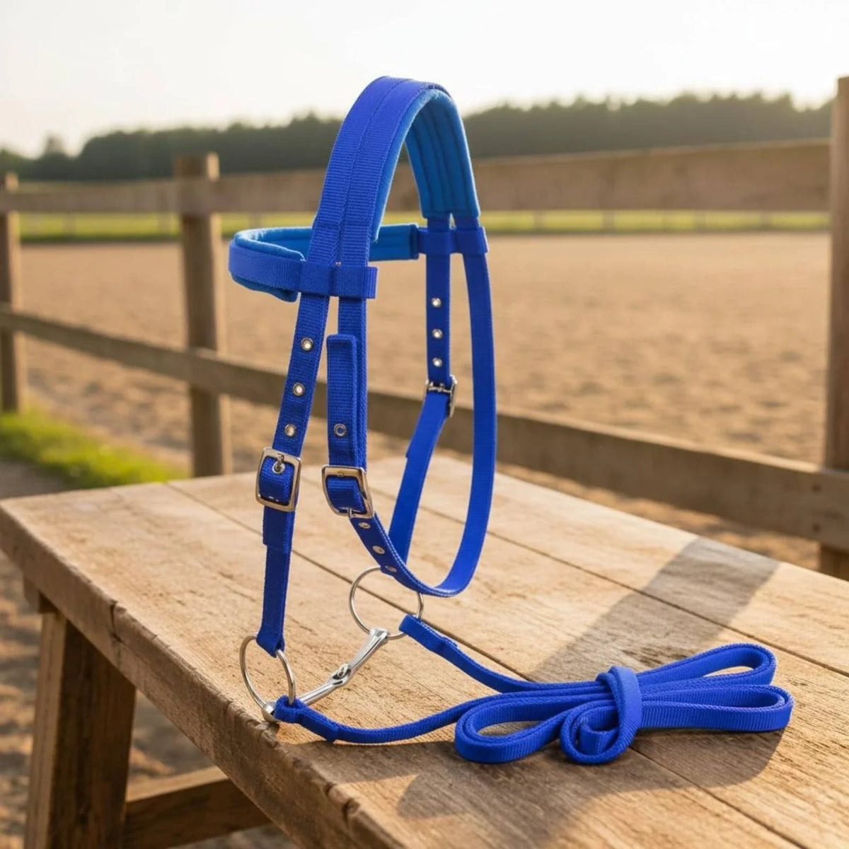 Horse Bridle with Bit Padded Adjustable - ProPawPet.com
