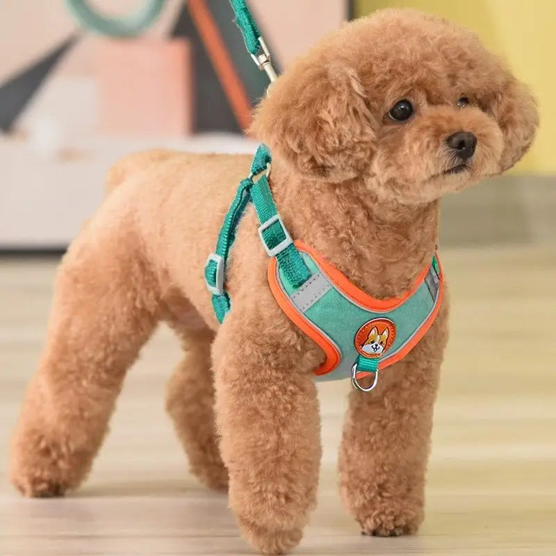 Adjustable No Pull Pet Reflective Dog - ProPawPet.com