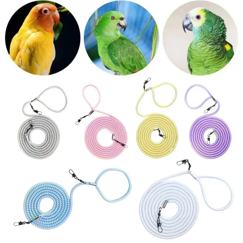 Ultra-light Parrot Training Leash 1.4-4.5m - ProPawPet.com