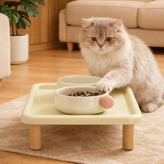 Elevated Cat Food Bowl Platform Portable for - ProPawPet.com