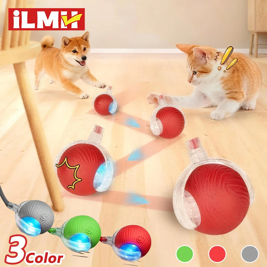 New Cat Interactive Ball Toy Automatic - ProPawPet.com
