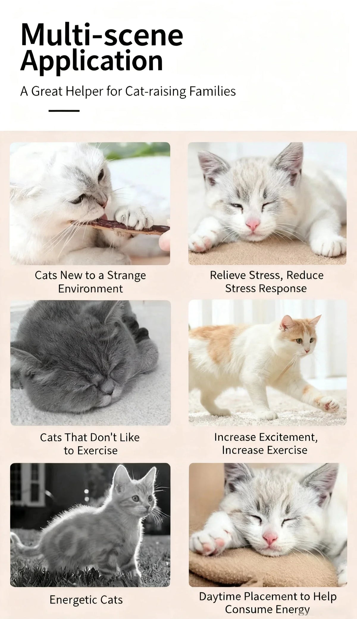 Natural Silver Vine Chew Sticks Catnip Molar - ProPawPet.com