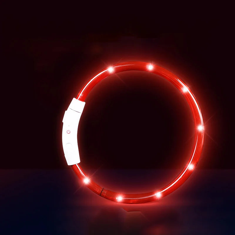 Pet Dog Cat LED Light Collar Luminous - ProPawPet.com