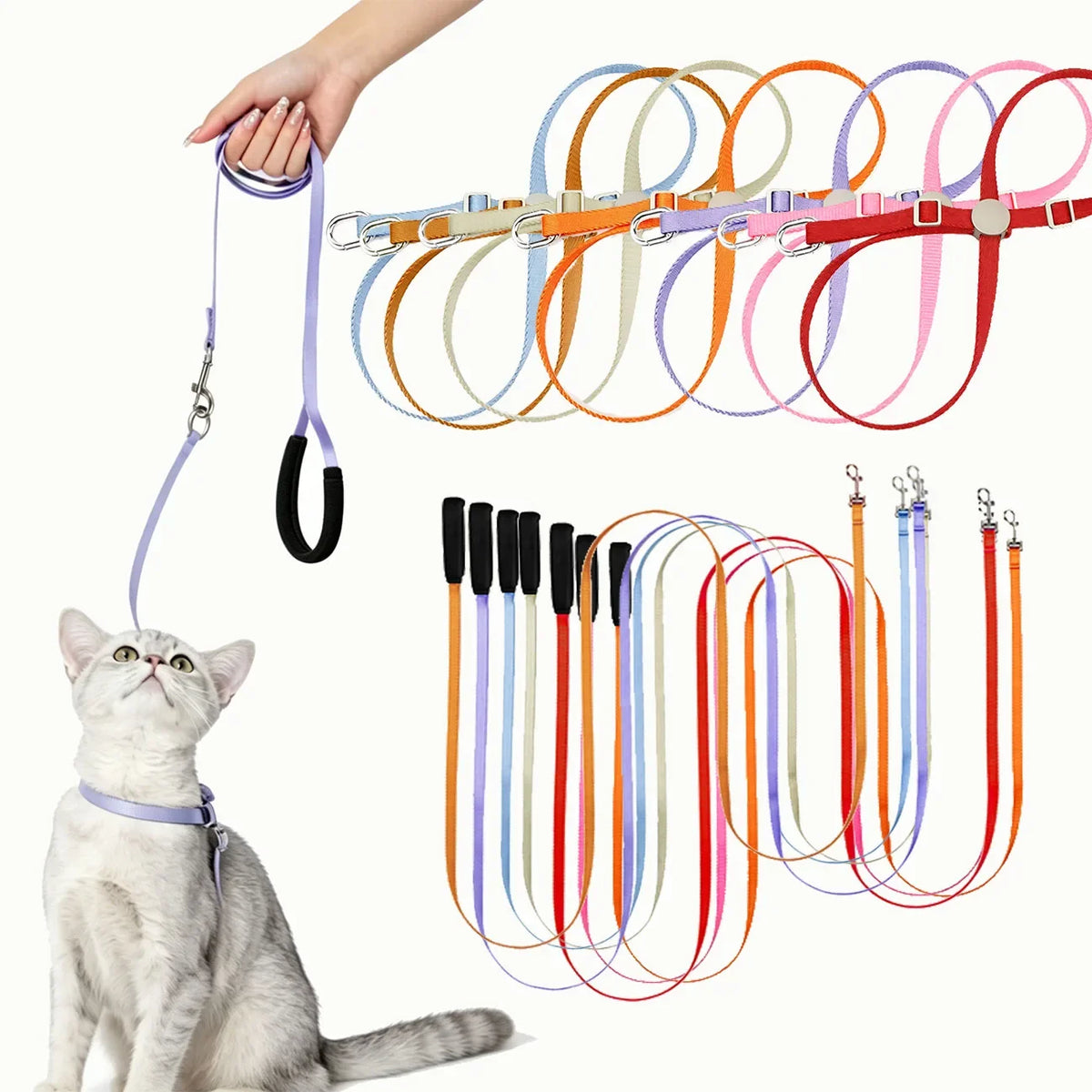 Cat Puppy Outdoor Walking Supplies Fashion - ProPawPet.com