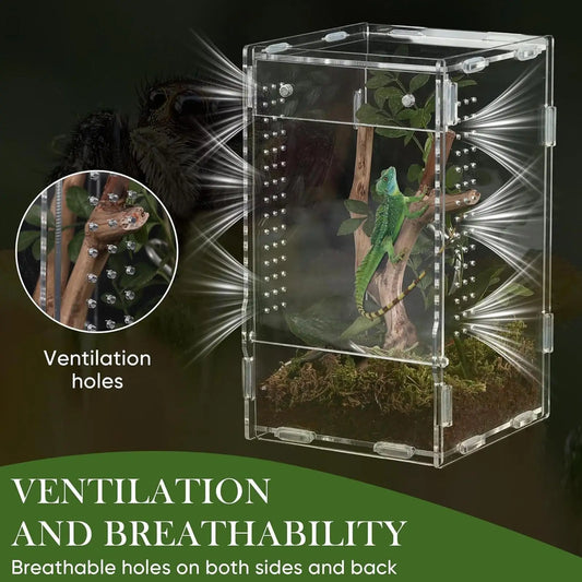 Transparent Reptile Feeding Box Anti-escape - ProPawPet.com