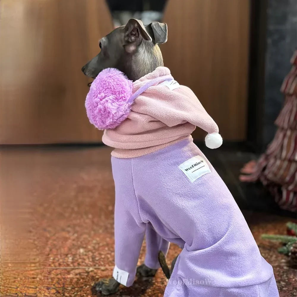 Dog Clothes for Italian Greyho with Hat Pure - ProPawPet.com
