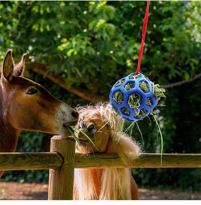 Horse Treat Ball Stables Hanging Hay Feeder - ProPawPet.com