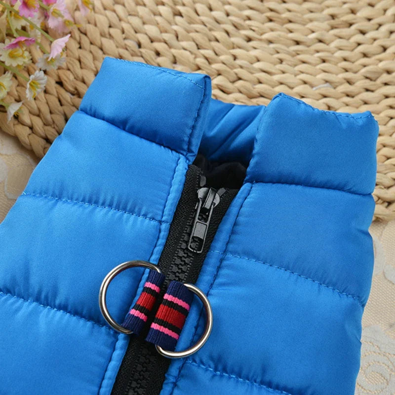 Waterproof Pet Clothes Winter Warm Jackets - ProPawPet.com