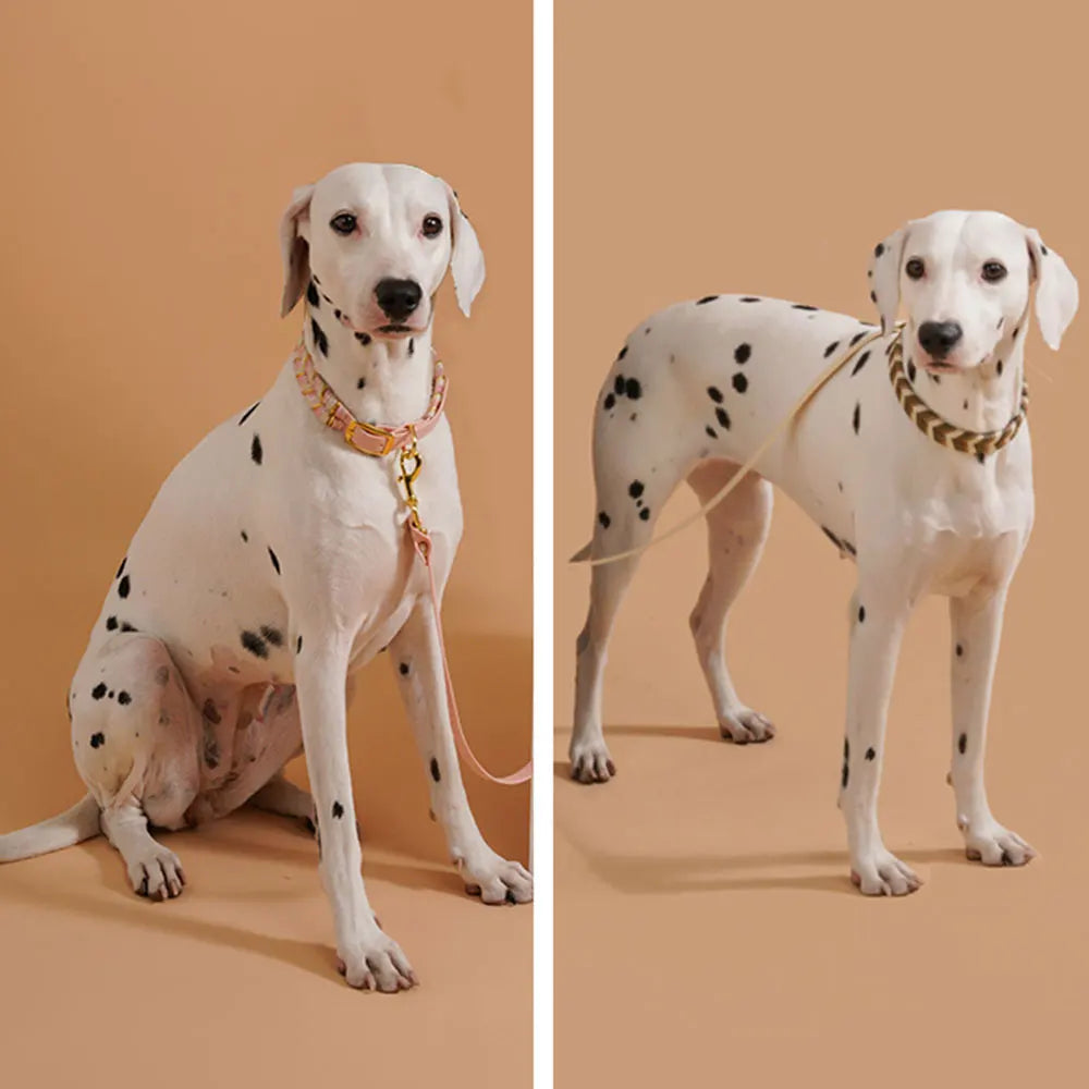Pet Supplies Handmade Dog Collar Fashion - ProPawPet.com
