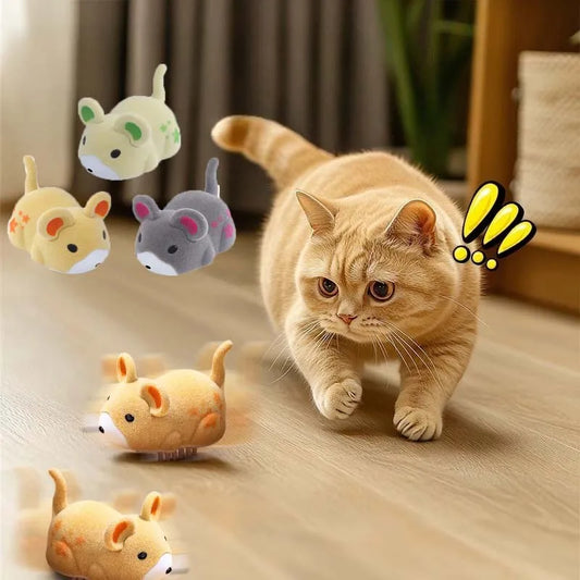 Electric Mouse Cat Toy Interactive Smart - ProPawPet.com