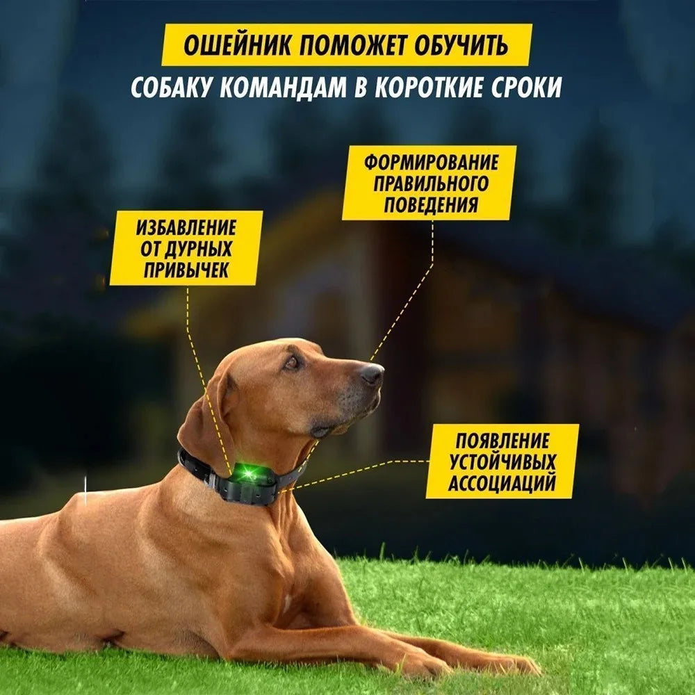 Dog Shock Collar with Remote -Dog Training - ProPawPet.com