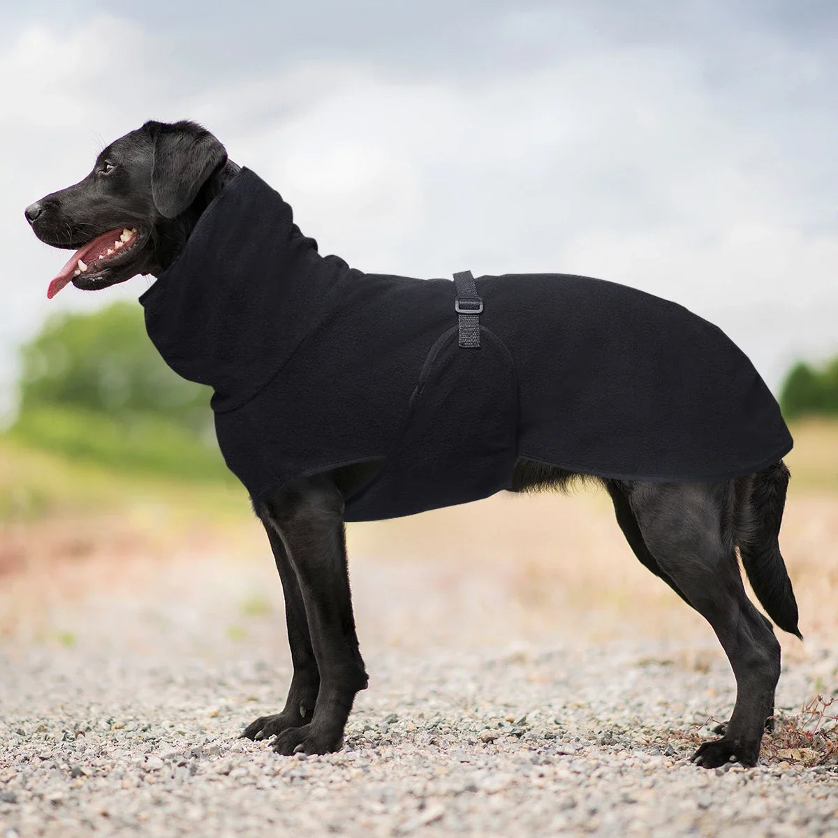 High Collar Warm Dog Coat with Adjustable - ProPawPet.com