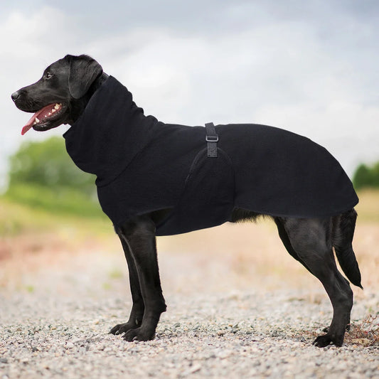 High Collar Warm Dog Coat with Adjustable - ProPawPet.com