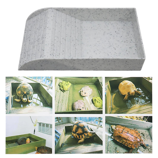 Tortoise Anti-Slip Ramp Platform Reptile - ProPawPet.com