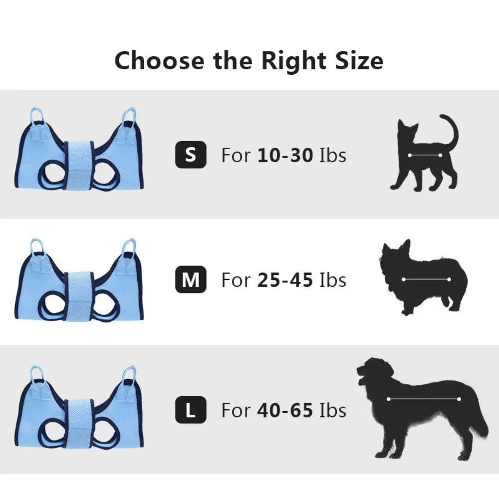 Anti Scratch Dog Grooming Hammock Beauty - ProPawPet.com