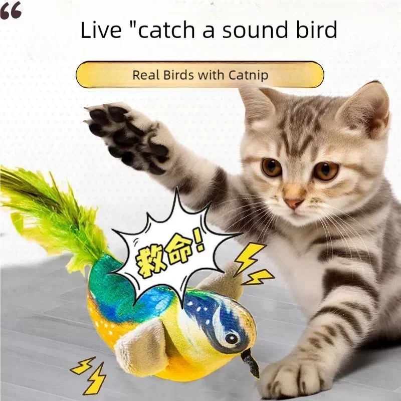 Chirping Bird Cat Plaything Elastic Rope Kitten Teaser – photo 2