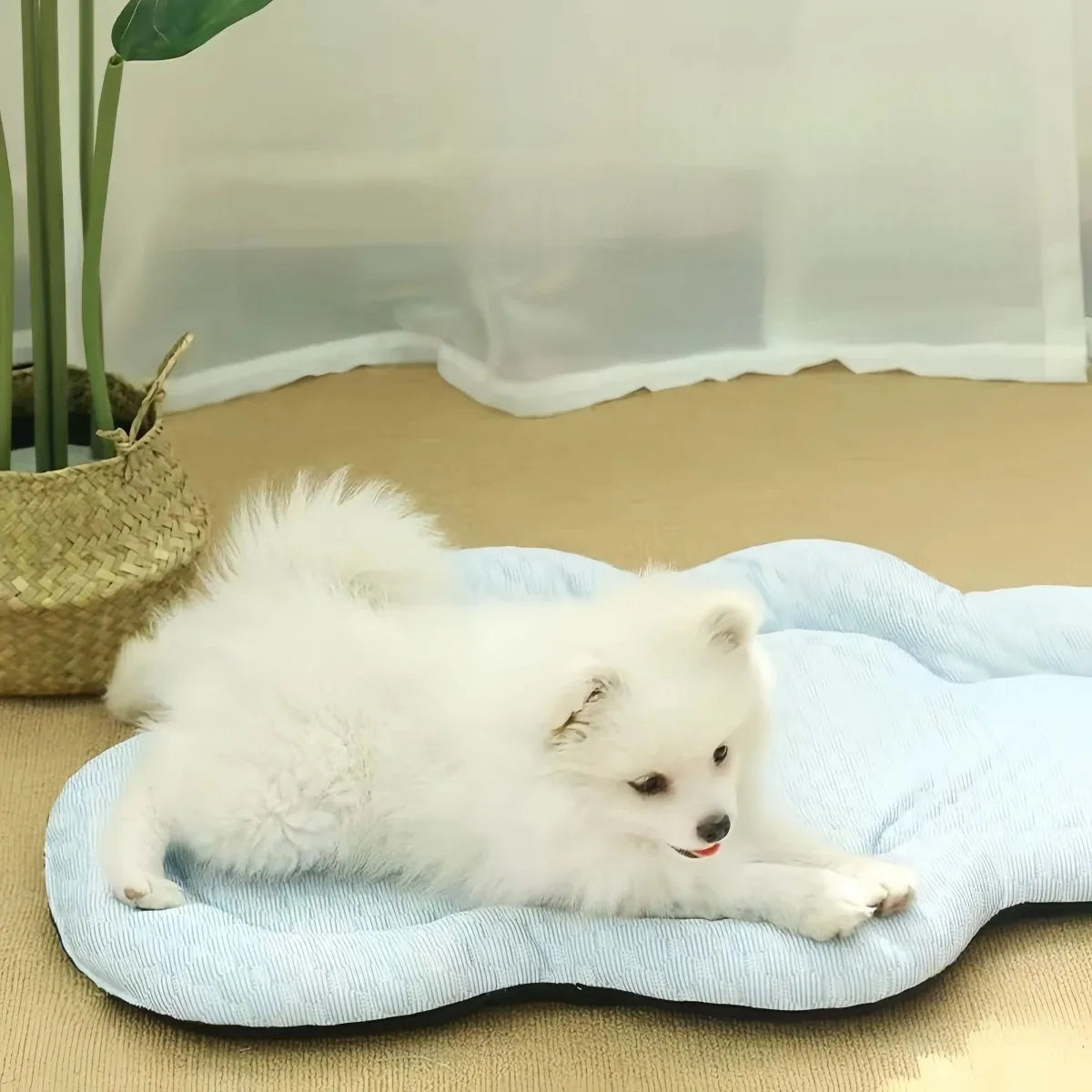 Cooling Mat Dog Accesories Summer Kennel - ProPawPet.com