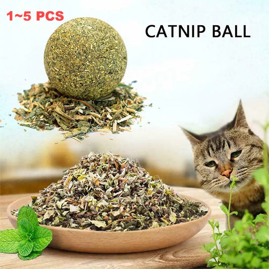 1~5PCS Natural Catnip Cat Wall Stick-on Ball - ProPawPet.com