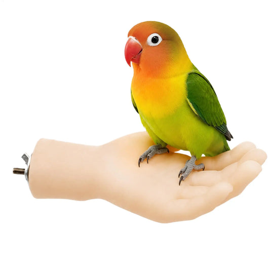 Bird Cage Perch Hand Interactive Training - ProPawPet.com