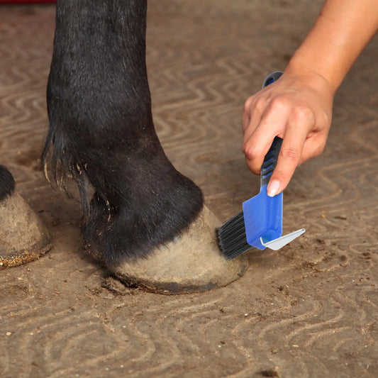 Horse Hoof Pick Stainless Steel Tool with - ProPawPet.com