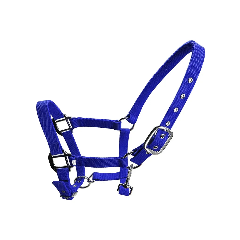 Padded Halter Pony Bridle Head Collar - ProPawPet.com