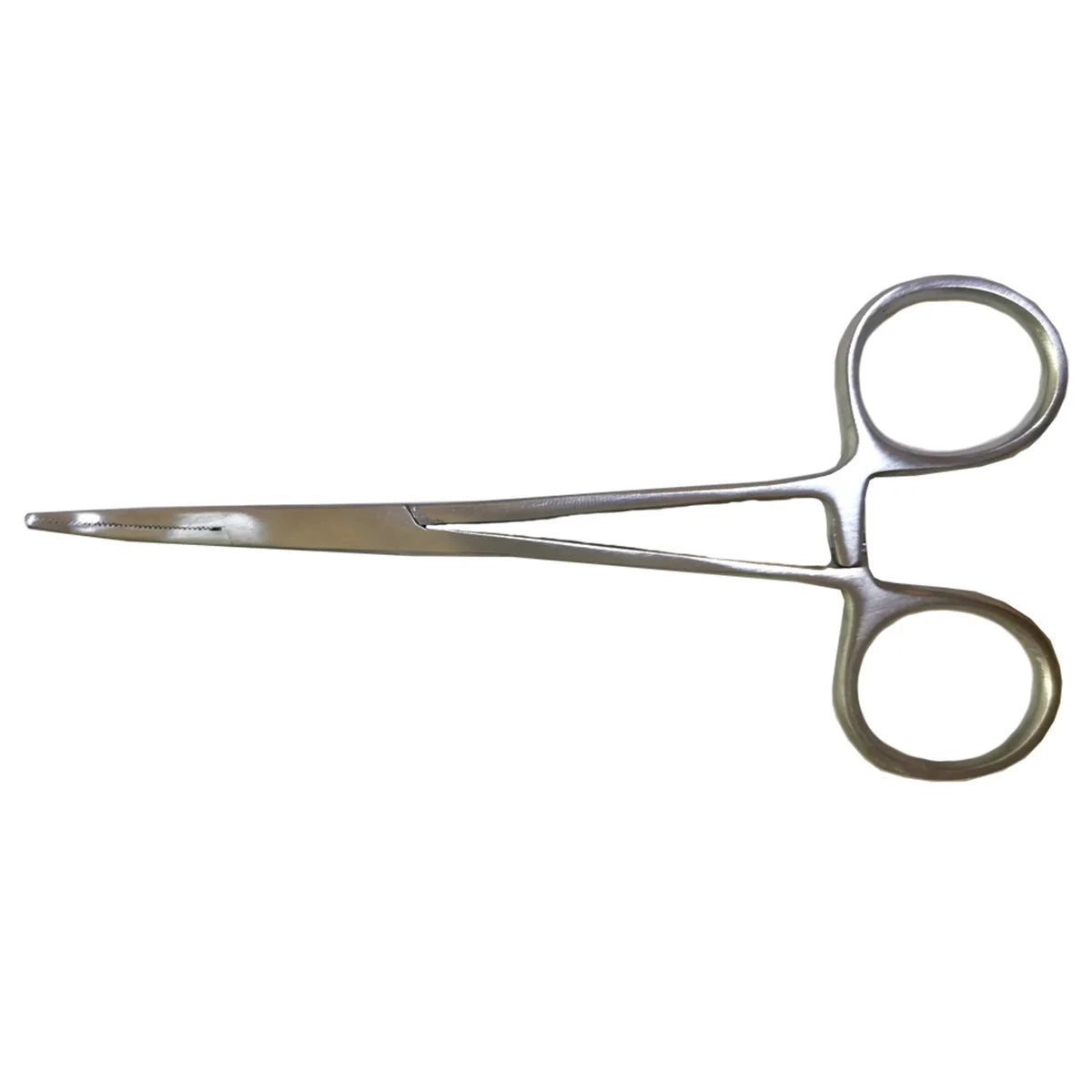 1 Pc Medical Steel Curved Head Hemostatic - ProPawPet.com