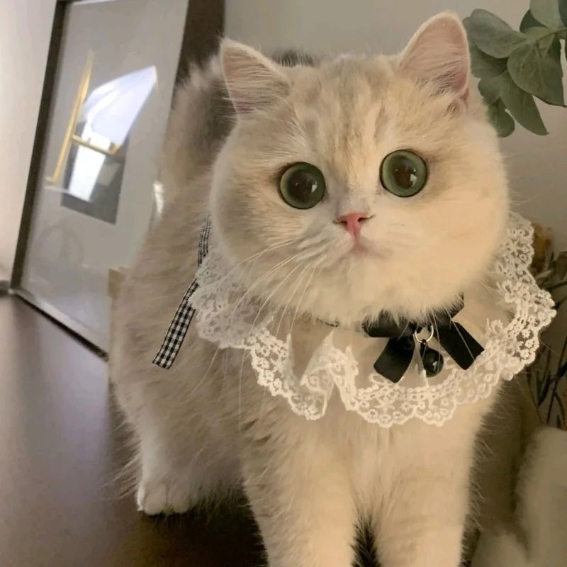 Cat & Dog Collar Silk Wedding Puppy Ribbon Scarf Princess – Cat Collars