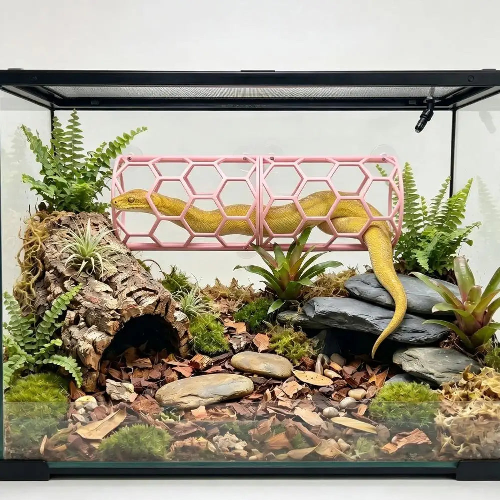 Reptile Honeycomb Climbing Shelf Suction Cup - ProPawPet.com