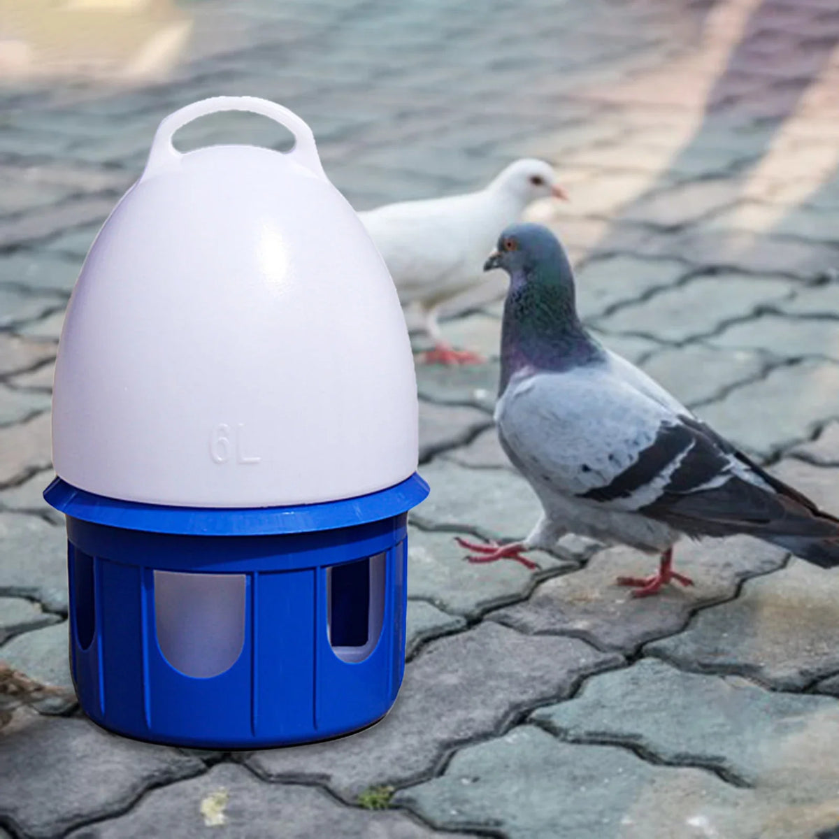 Large Capacity Automatic Bird Water - ProPawPet.com