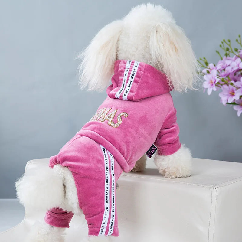Girl Dog Clothes for Small Dogs Cute Outfits - ProPawPet.com