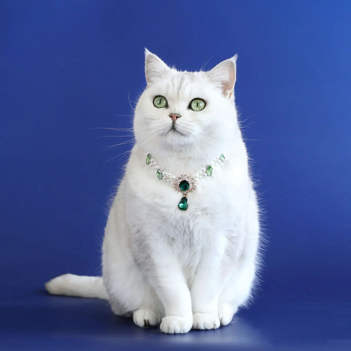Dog Cat Pearl Necklace Crystal Gemstone - ProPawPet.com