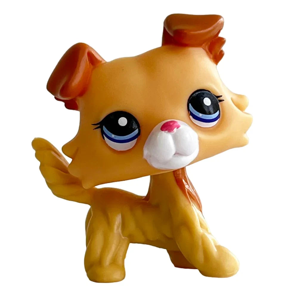 Rare Pet Original Pet Bobble Head Toy Custom - ProPawPet.com