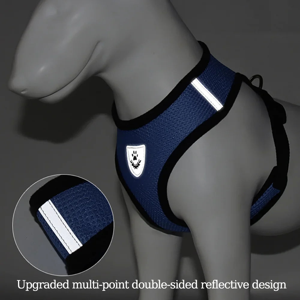 Safe Premium Adjustable Cat Harness and - ProPawPet.com