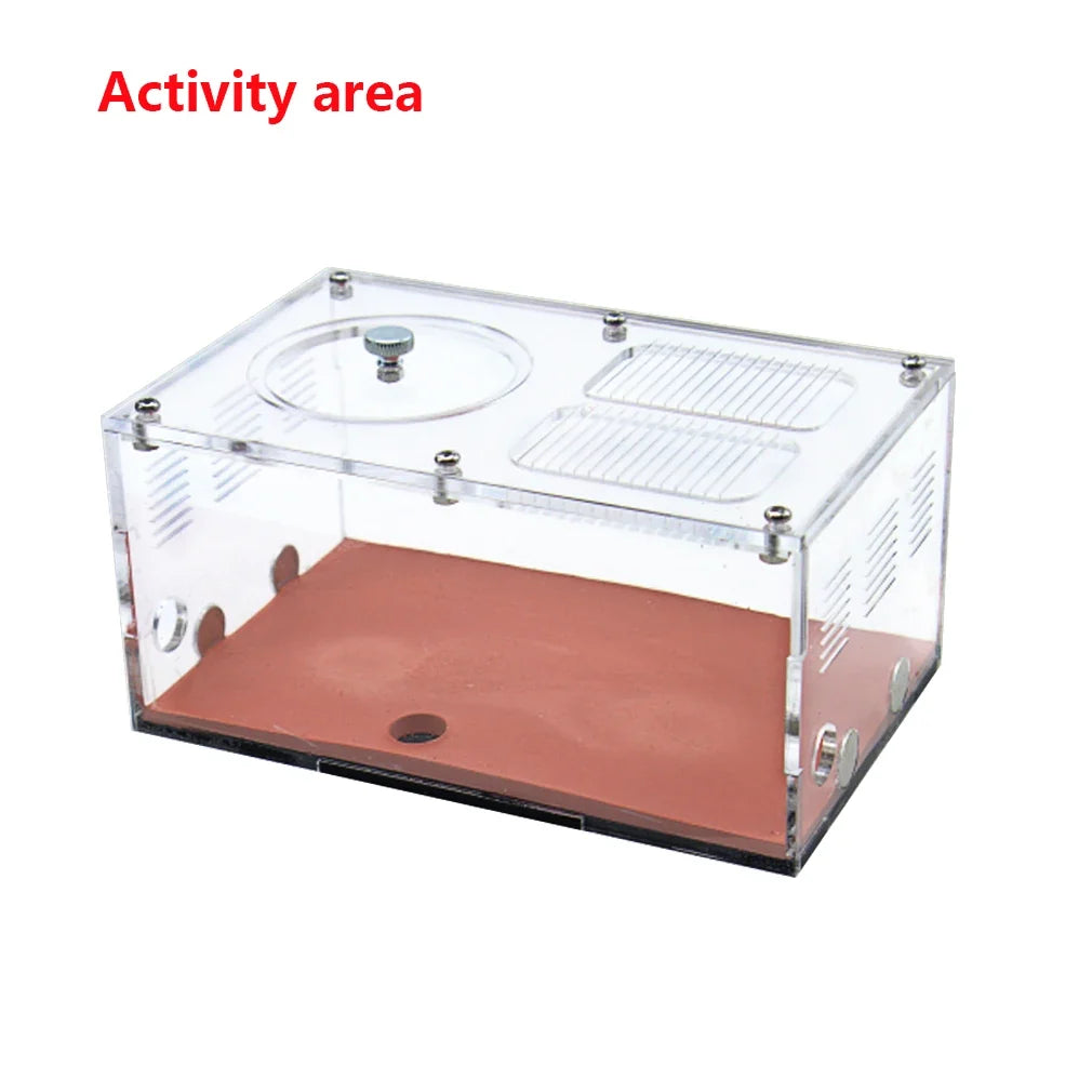 Acrylic Ant Farm Temperature Control - ProPawPet.com