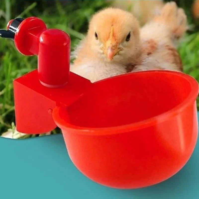 5-50PCS Chicken Drinking Cup Automatic - ProPawPet.com