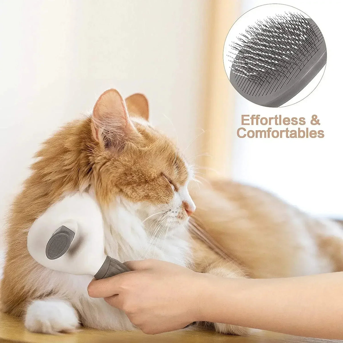For Cat Accessories Dog Grooming Equipment - ProPawPet.com
