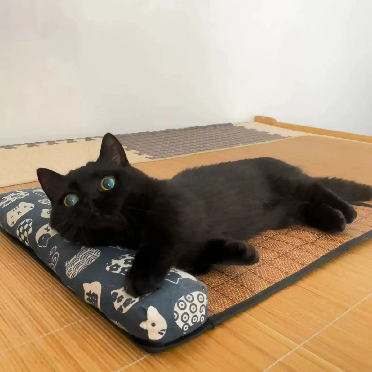 Cat Natural Cooling Mat Summer Pet Self - ProPawPet.com