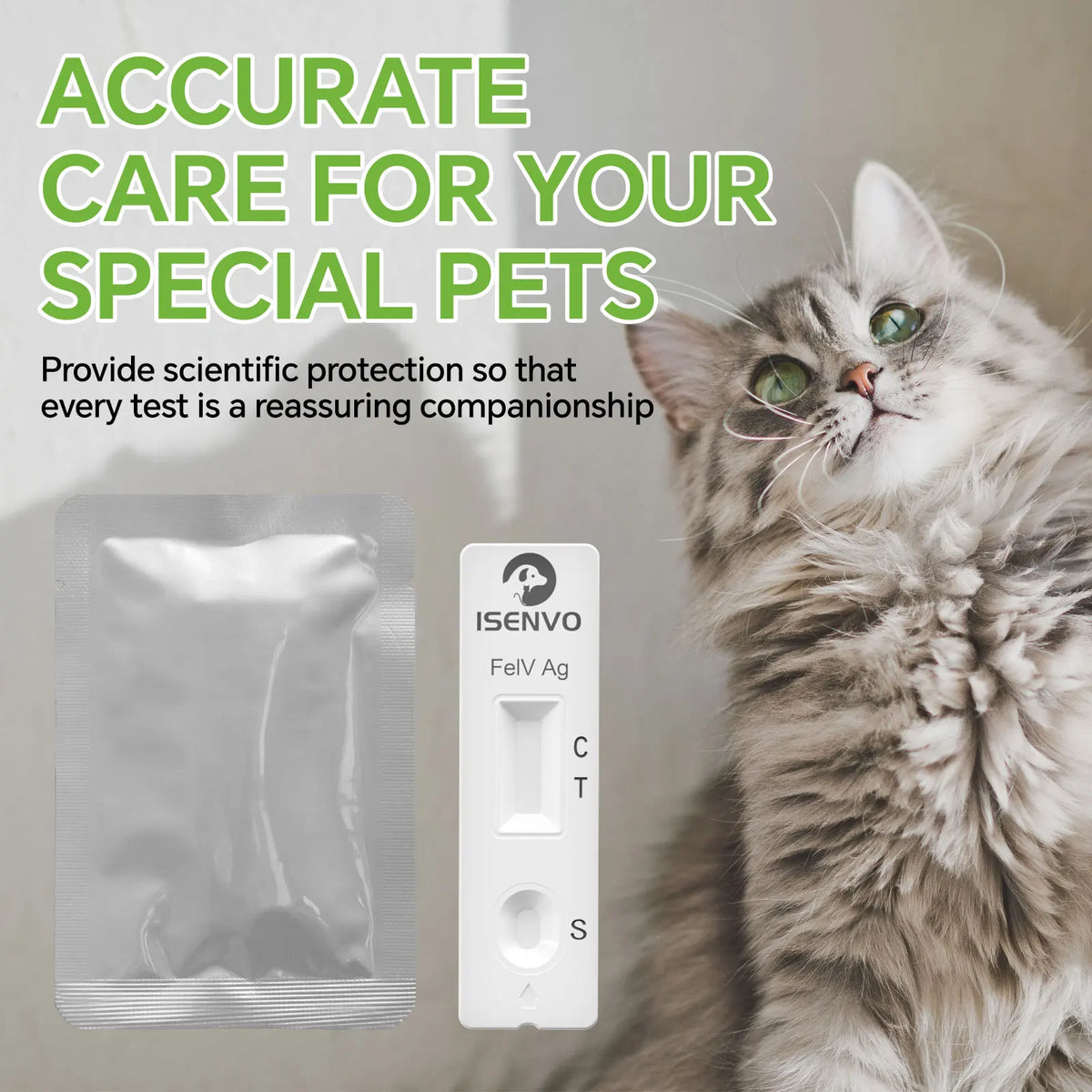 FeLV Feline Leukemia Rapid Test Kit 2 5 10 - ProPawPet.com