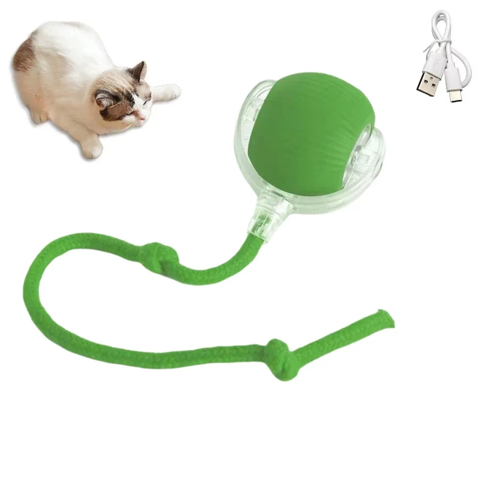 1/2PCS Interactive Cat Toys Ball Auto - ProPawPet.com