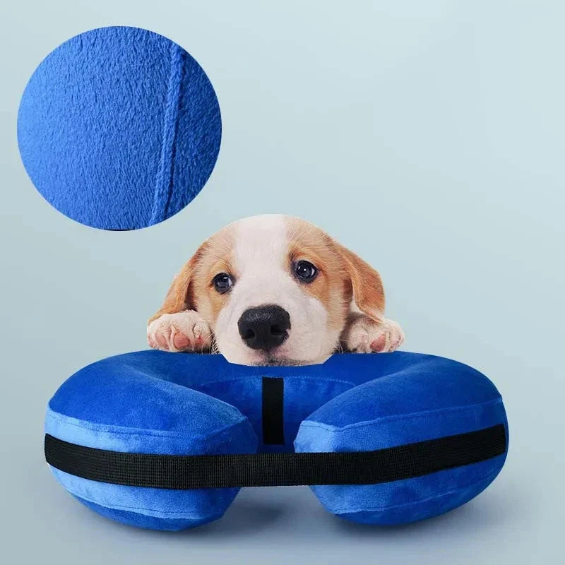 Inflatable Dog Collar Anti-bite Elizabethan - ProPawPet.com