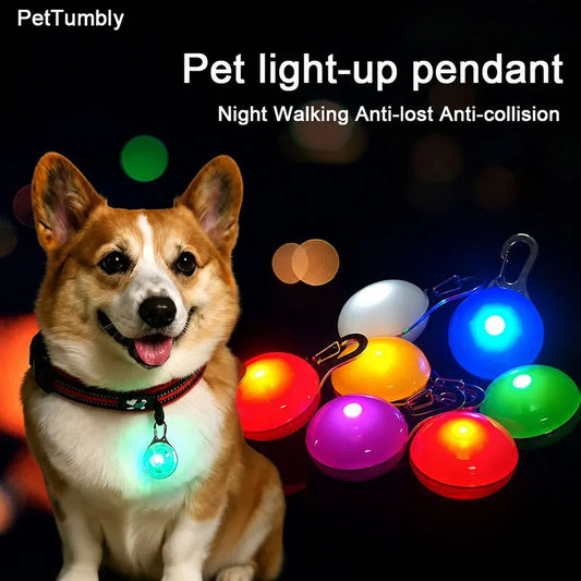 Rechargeable USB LED Dog Collar Pendant Pet - ProPawPet.com