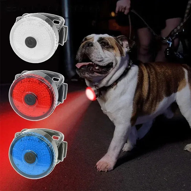 LED Light Dog Collar USB Charging Glowing - ProPawPet.com