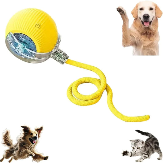 Pet Toy Ball with Tail Rope，Smart Automatic - ProPawPet.com