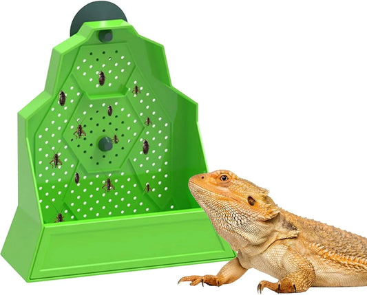 Corner Reptiles Feeder Box With Suction Cups - ProPawPet.com